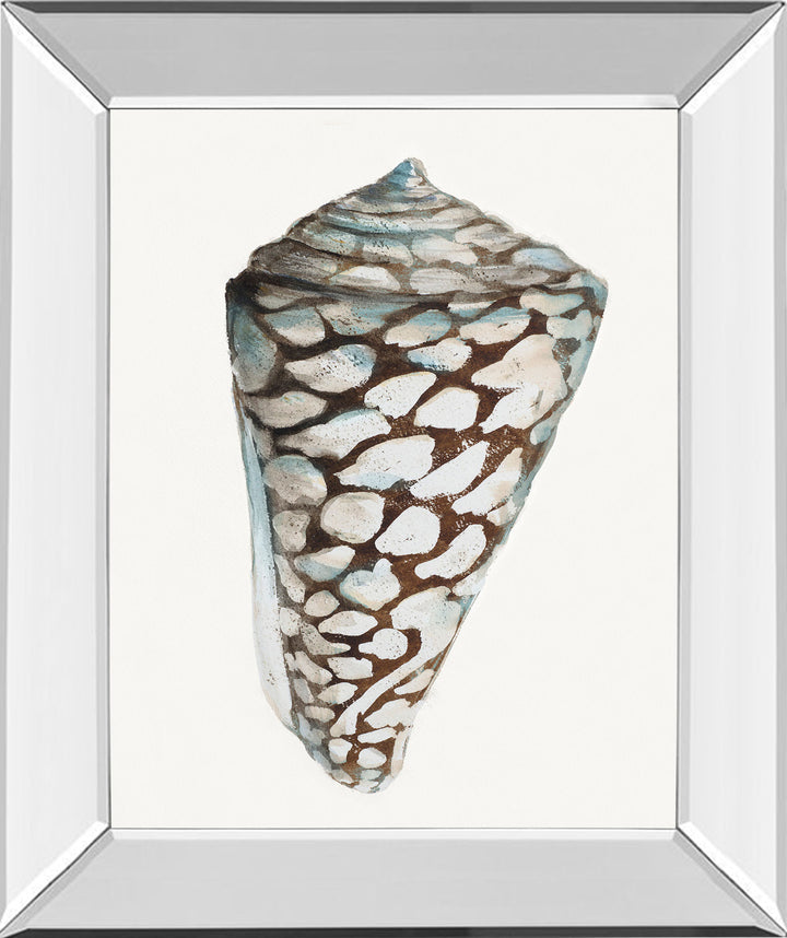 Modern Shell With Teal Il By Patricia Pinto - Mirror Framed Print Wall Art - White