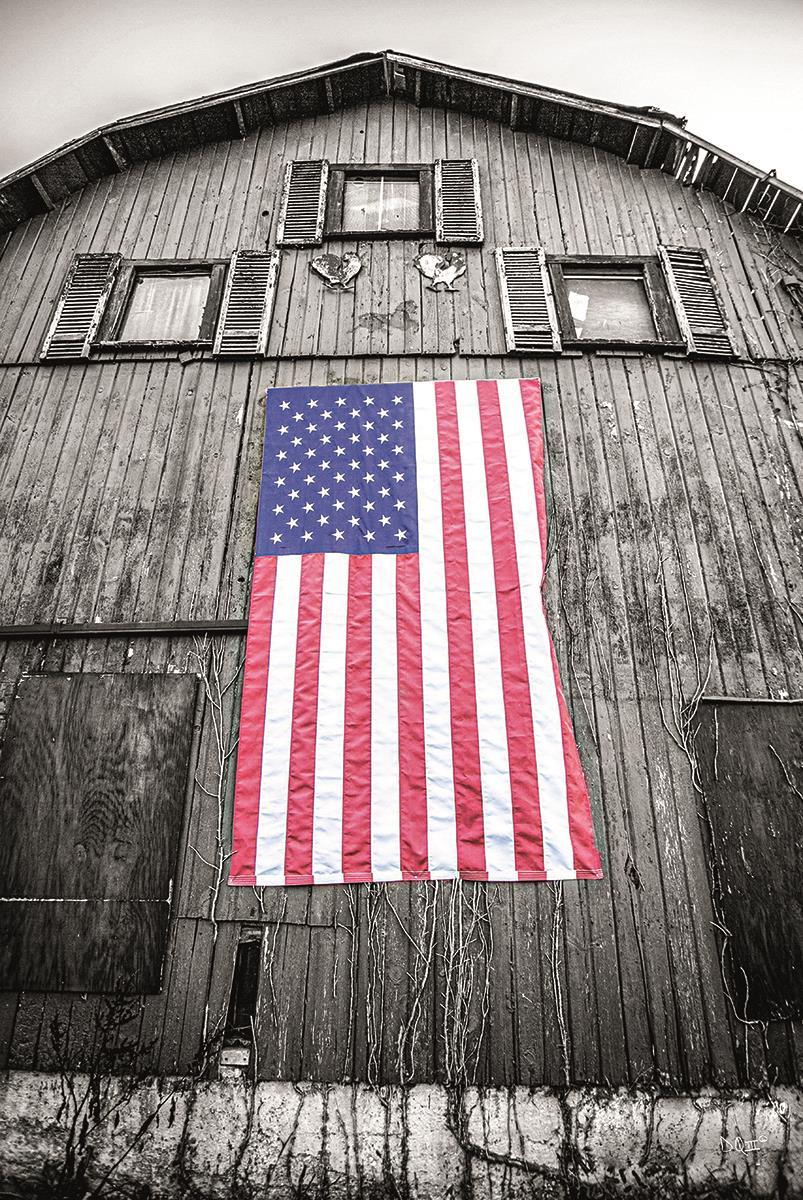 Small - Red White &amp; Blue By Donnie Quillen - Dark Gray