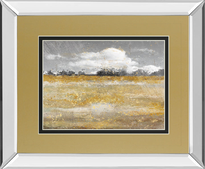 Meadow Shimmer Il By Nan - Mirror Framed Print Wall Art - Gold