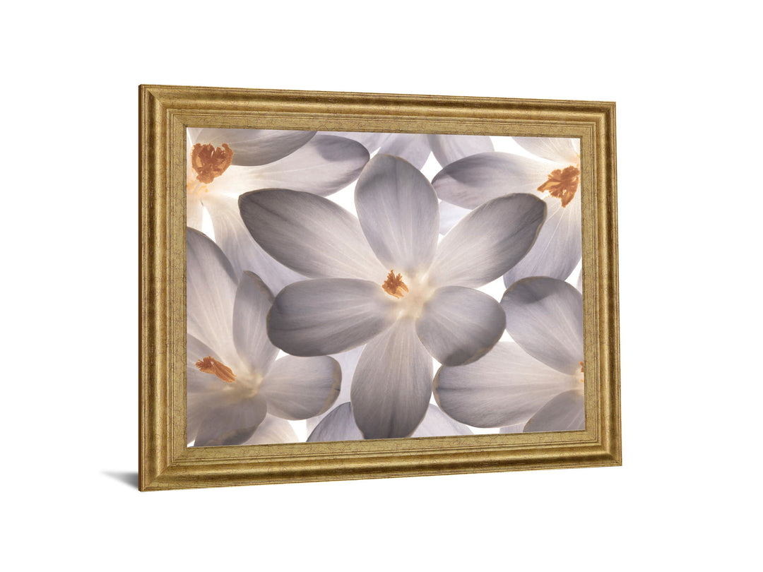 Whispering Blossom - 28" x 34" Framed Wall Art