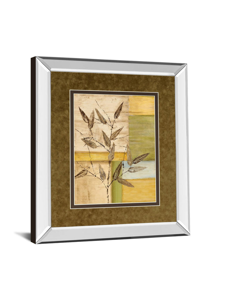 Urban Garden I By Norm Olson - Mirror Framed Print Wall Art - Dark Brown