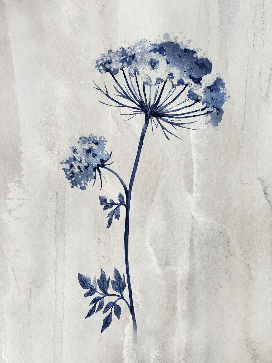 Framed Small - Indigo Botanical I By Conrad Knutsen - Gray