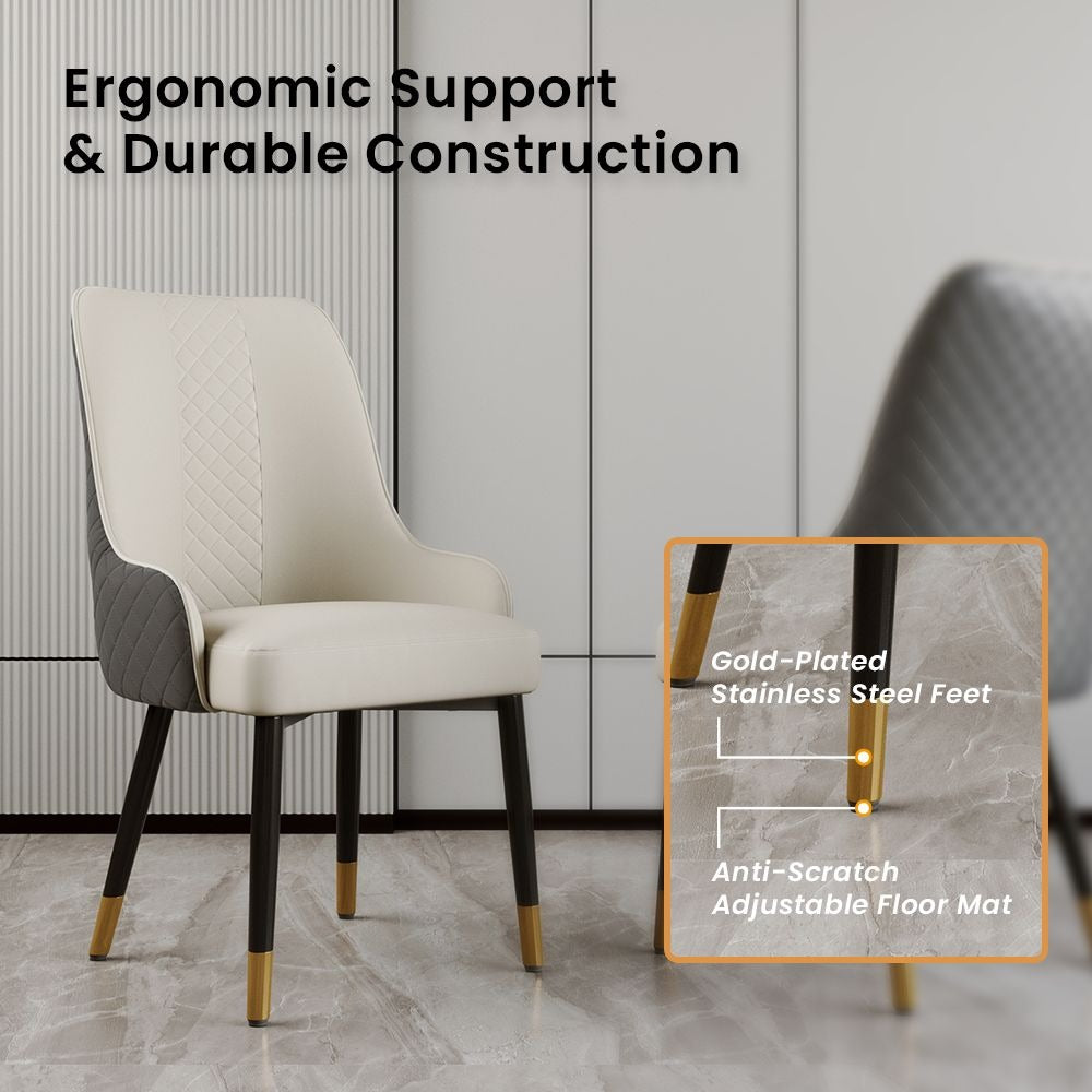 Rani Chairs (Grey)