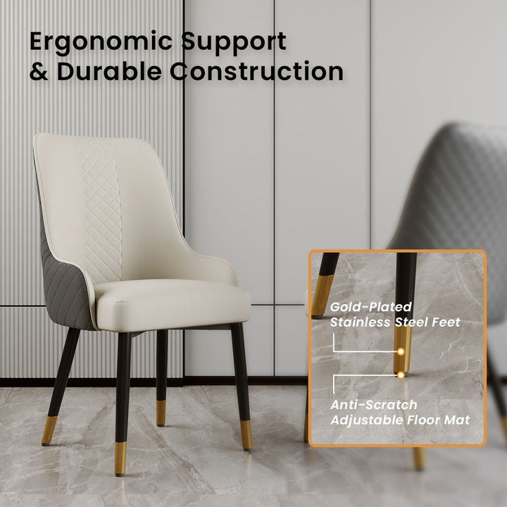 Rani Chairs (Grey)