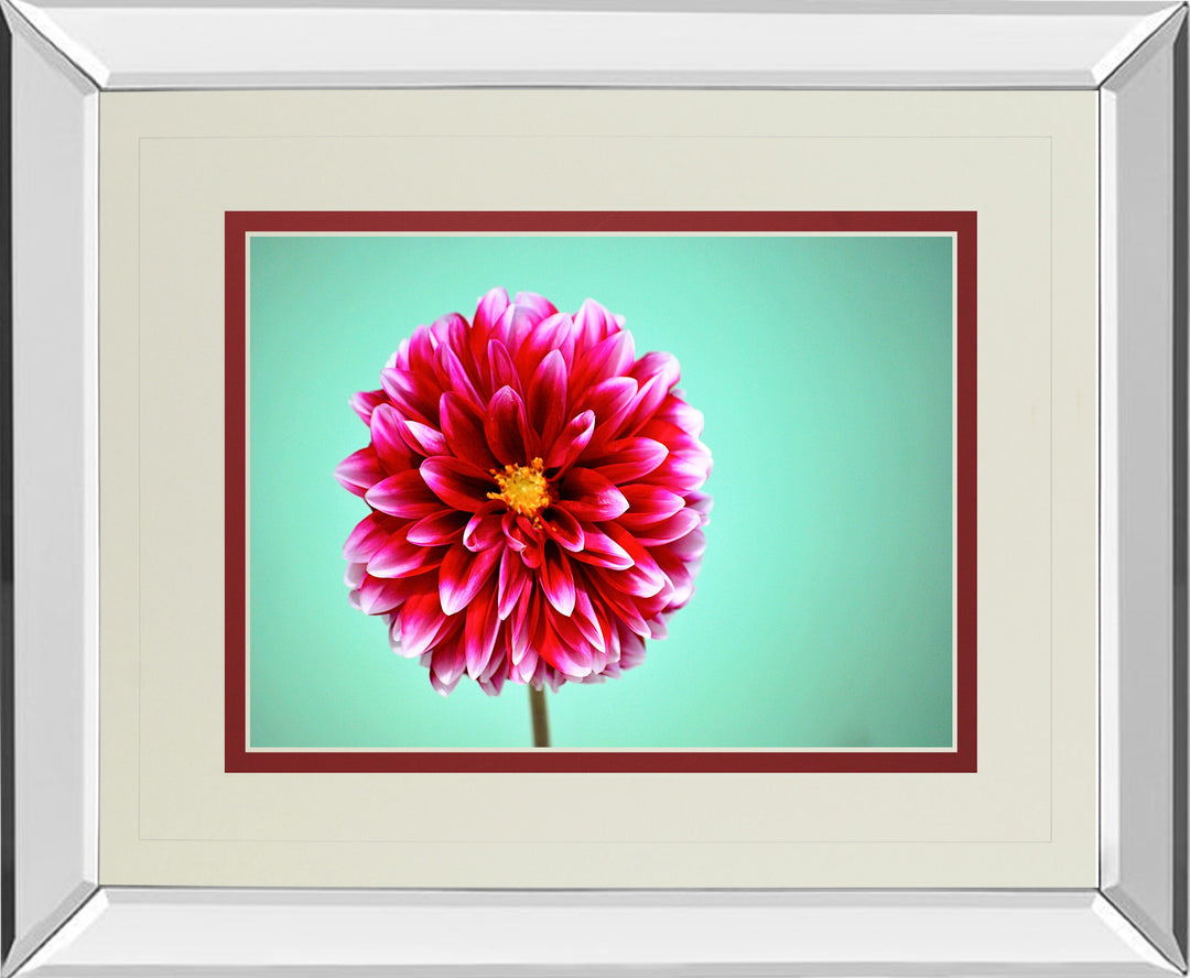 Zenia By Gail Peck - Mirror Framed Print Wall Art - Pink