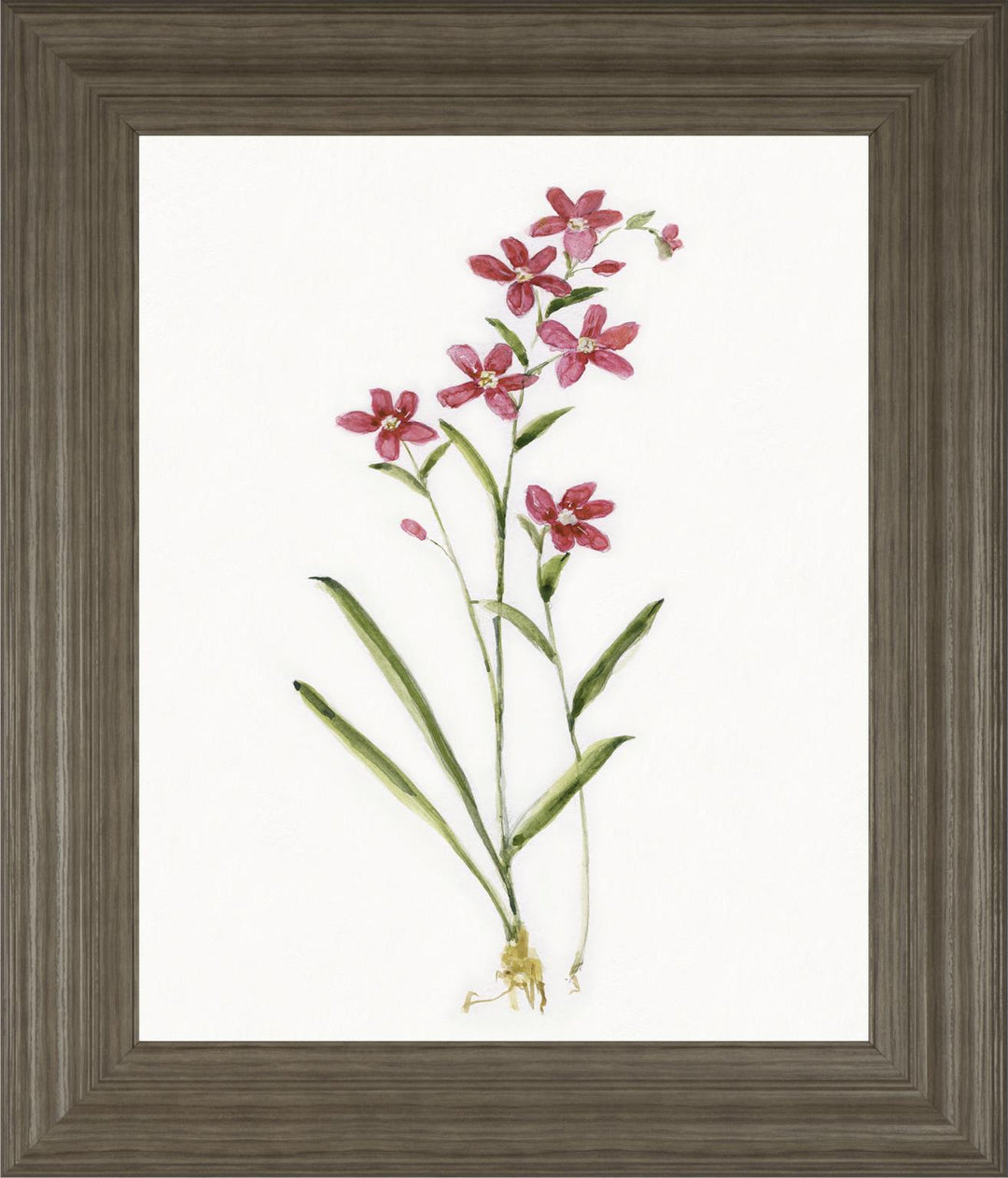 22x26 Delicate I By Sally Swatland - White