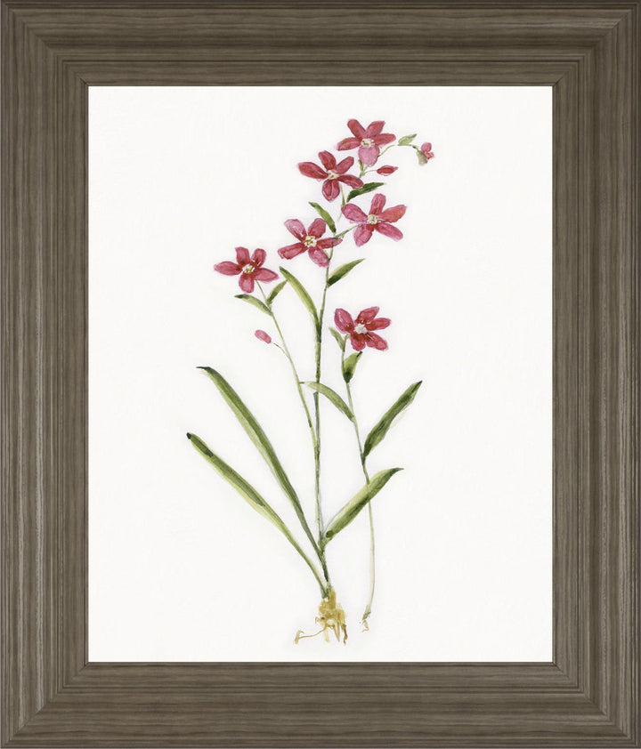 22x26 Delicate I By Sally Swatland - White