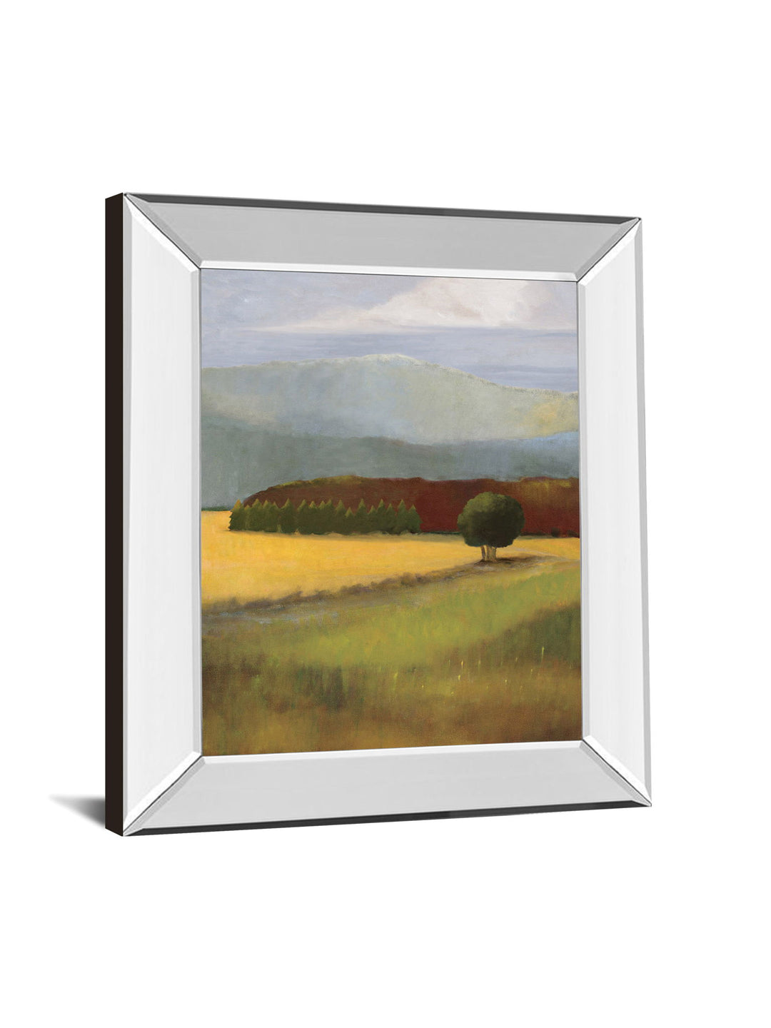 Field Of Gold By Judith D&
