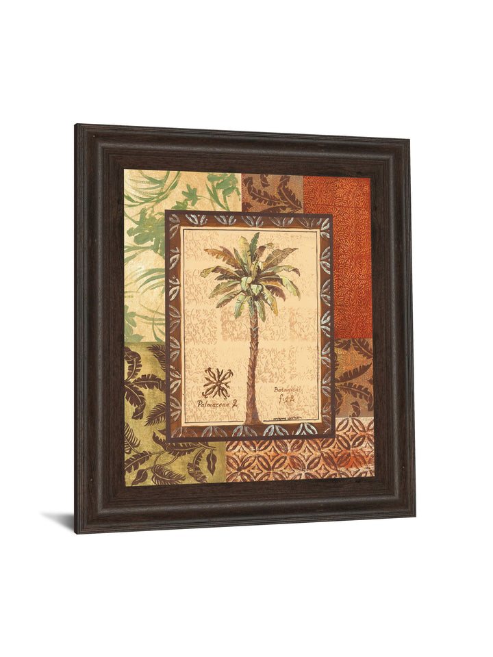 Palmaceae Il By Gregory Gorham - Framed Print Wall Art - Light Brown
