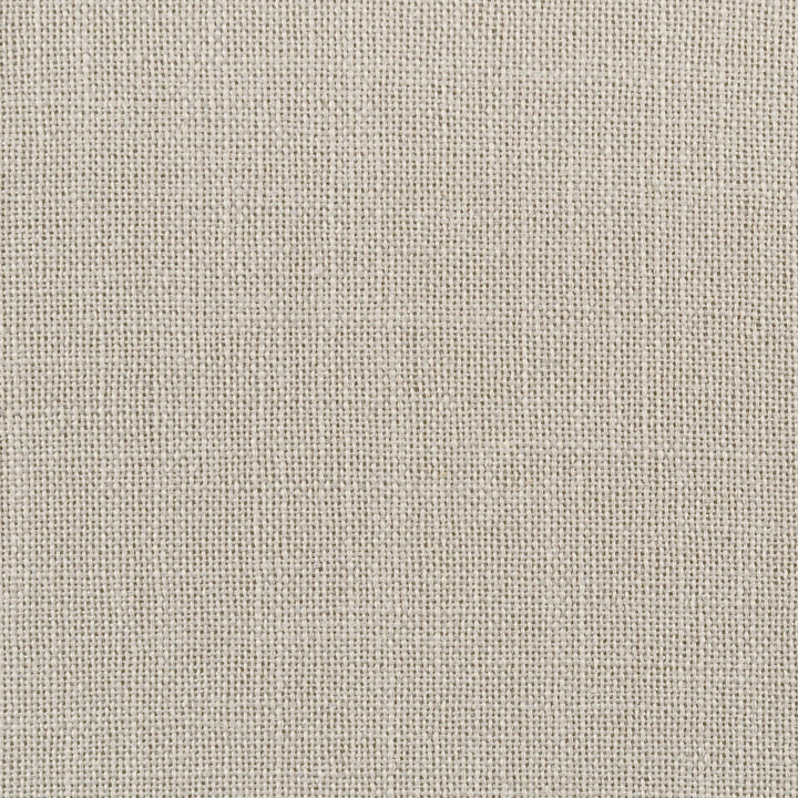Alana Fabric Upholstered Dining Side Chair Beige (Set of 2)