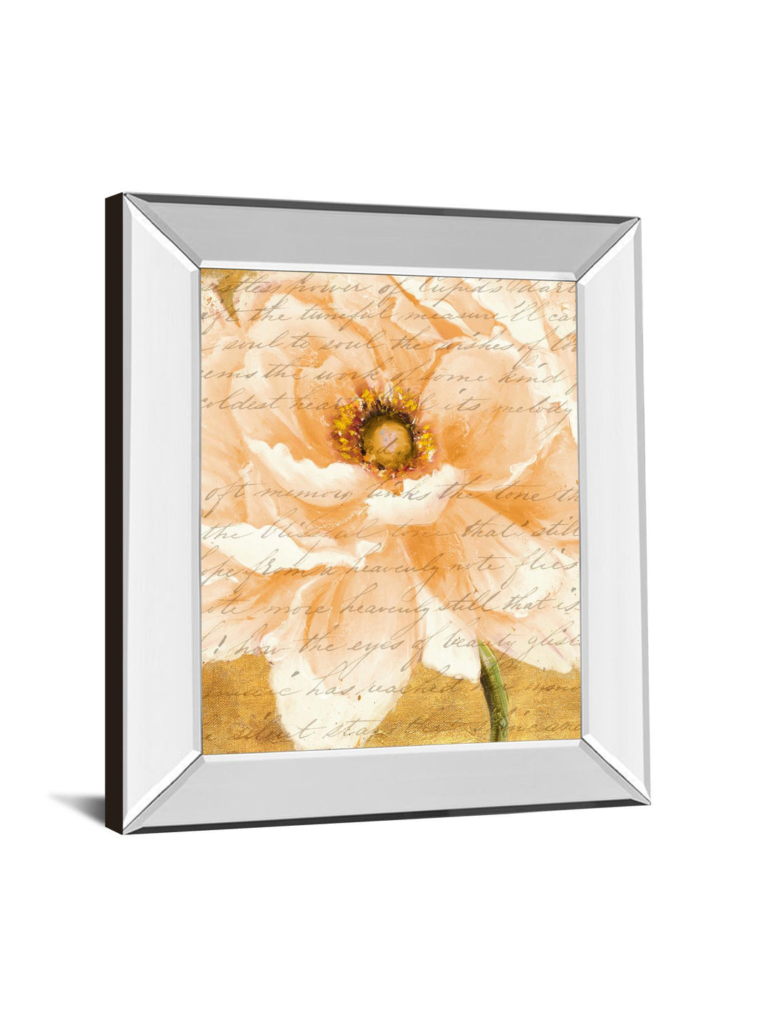 Beautiful Cream Peonies Script I By Patricia Pinto - Mirror Framed Print Wall Art - Gold