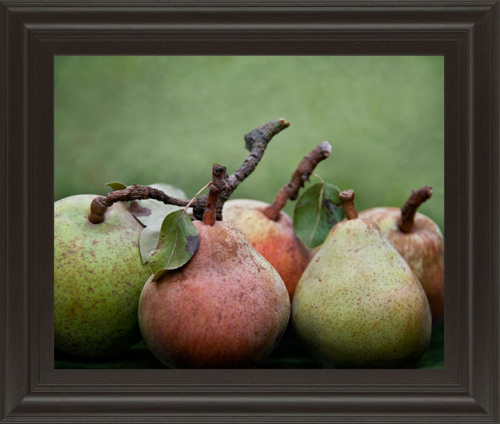 Comice Pear I By Rachel Perry - Framed Print Wall Art - Green