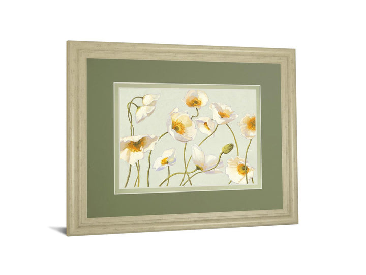 White Bright Poppies By Novak - Framed Print Wall Art - White