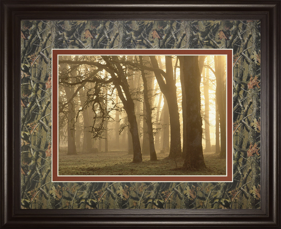 Woodland Sweep By Dennis Frate - Framed Print Wall Art - Black