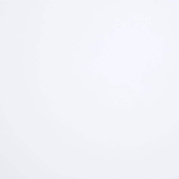 Bexhill 56-inch Upholstered Queen Panel Bed White