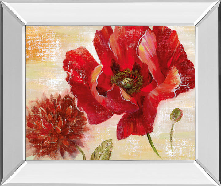 Passion For Poppies Il By Nan - Mirror Framed Print Wall Art - Red