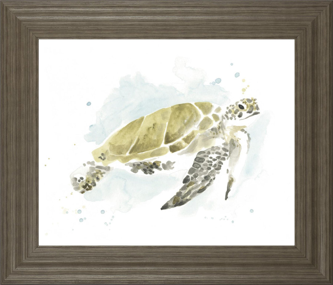 22x26 Watercolor Sea Turtle Study I By June Erica Vess - Beige
