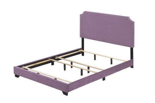 Haemon Bed