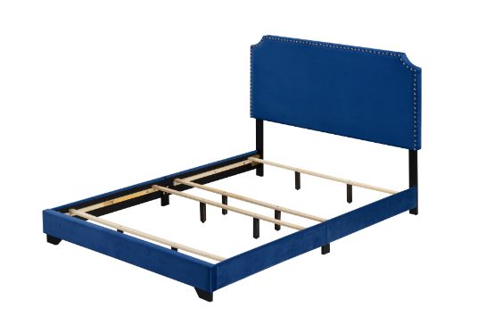 Haemon Bed