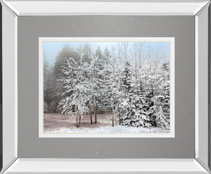 Frosty Morning By Mike Jone - Mirror Framed Print Wall Art - White