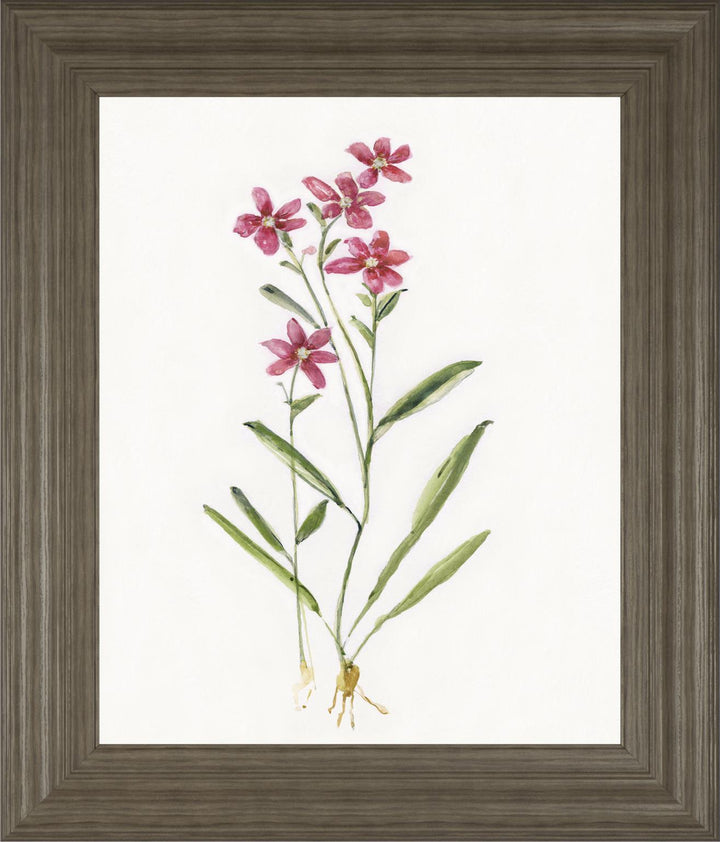 22x26 Delicate II By Sally Swatland - White