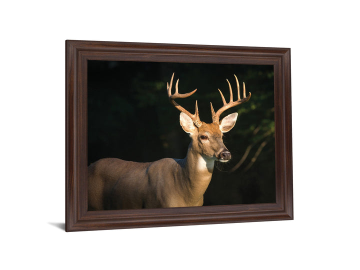 Forest Sentinel - 28" x 34" Framed Wall Art