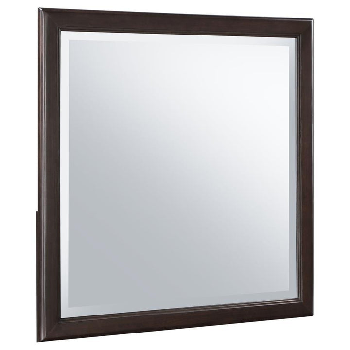 Emberlyn - Dresser Mirror - Brown