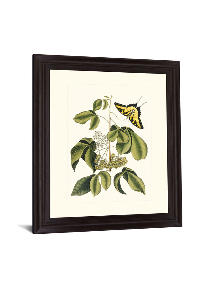 Butterfly Grove - 28" x 34" Framed Wall Art
