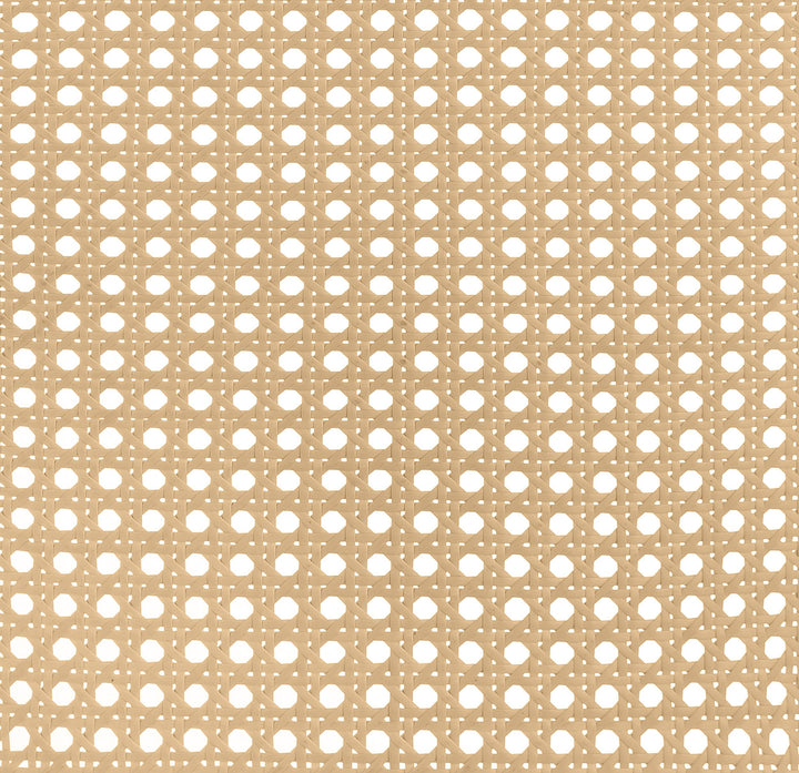 Lanewood Open Cane Webbing Metal Eastern King Bed White