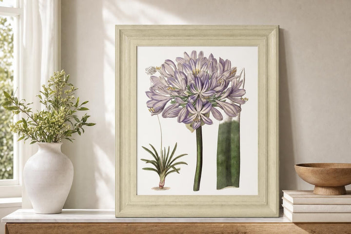 22x26 Lavender Beauties VI By Edwards - Pink