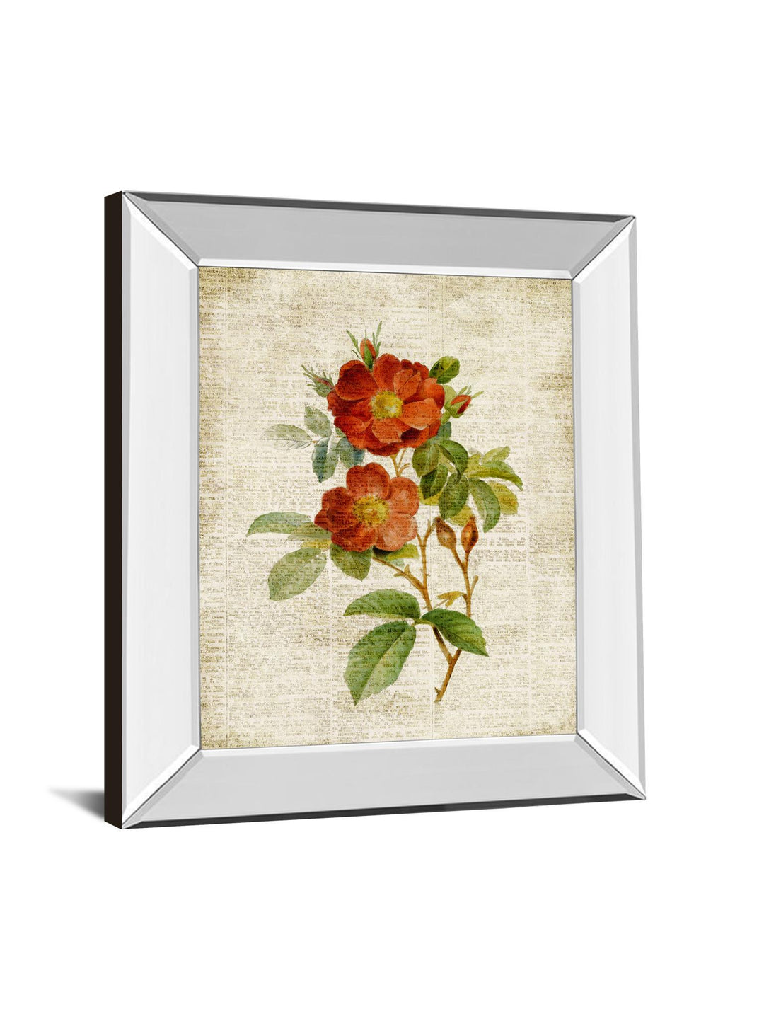 Roses On Newsprint Il By Lanie Loreth - Mirror Framed Print Wall Art - Beige