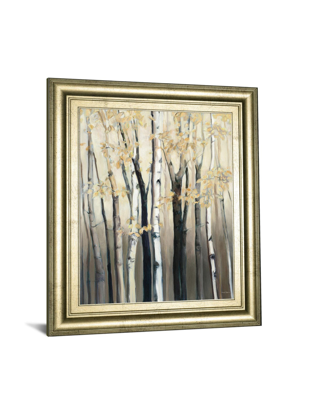 Golden Birch I By Julia Purinton - Framed Print Wall Art - Dark Gray