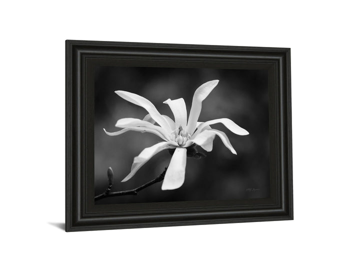 Magnolia Dreams I By Geyman Vitaly - Framed Print Wall Art - Dark Gray