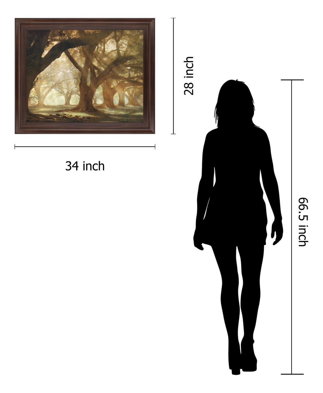 Sunlit Grove Serenity - 28" x 34" Framed Wall Art
