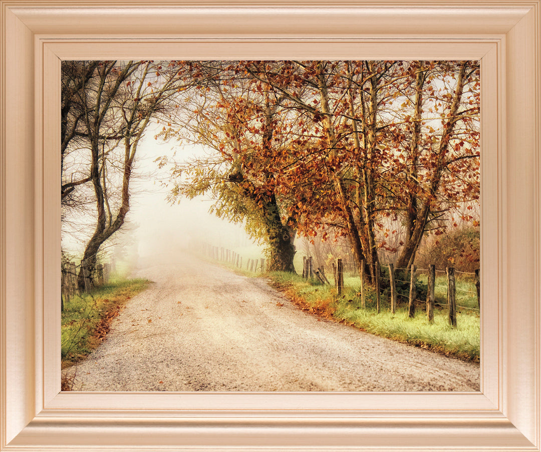 Fog Ahead By D. Burt - Framed Print Wall Art - Dark Brown