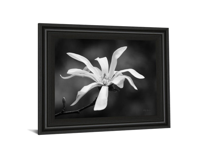 Magnolia Dreams I By Geyman Vitaly - Framed Print Wall Art - White