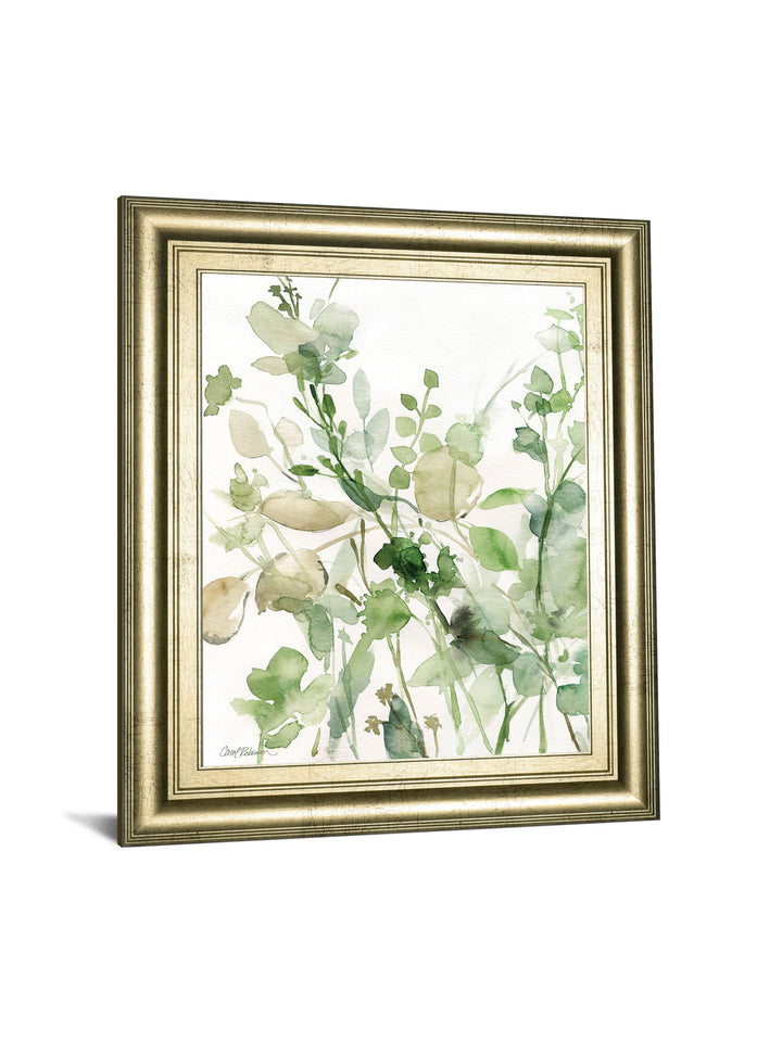 Sage Garden II By Carol Robinson - Framed Print Wall Art - Green