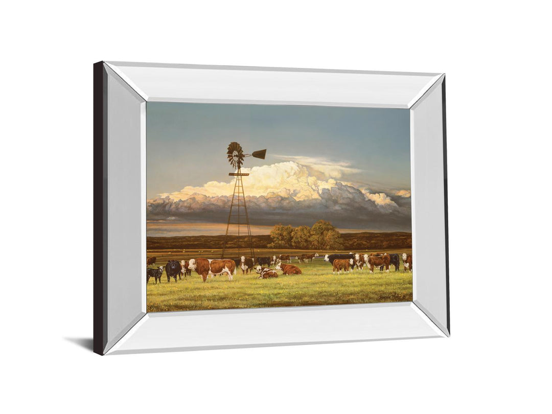 Summer Pastures By Bonnie Mohr - Mirror Framed Print Wall Art - Green