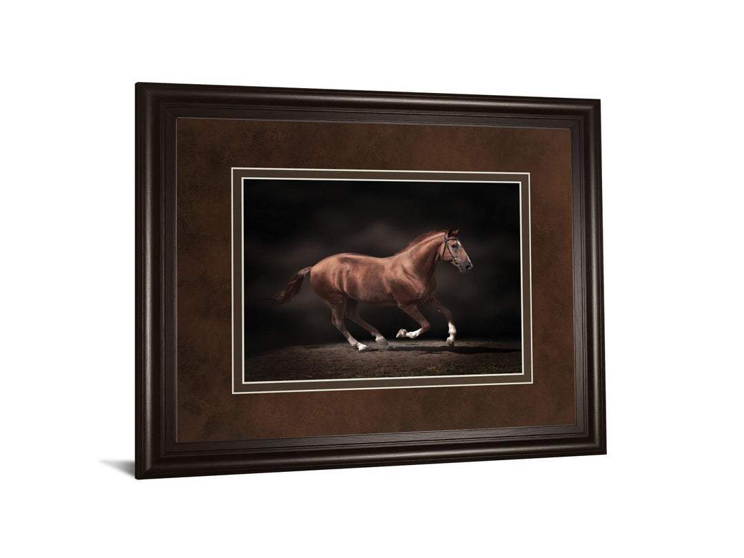 Stallion On Black By Edoma Photo - Framed Print Wall Art - Dark Brown