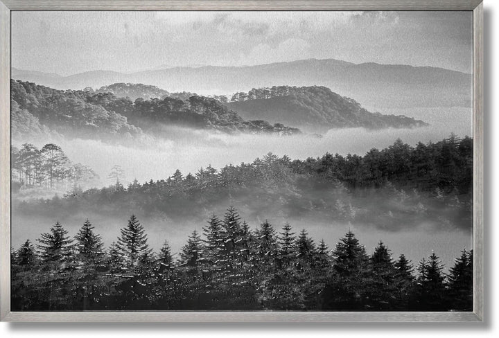 Misty Pine Veil - 32" x 47" Framed Wall Art - Gray