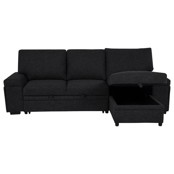 Demko Sleeper Sectional Sofa with Speaker and Storage Chaise Black