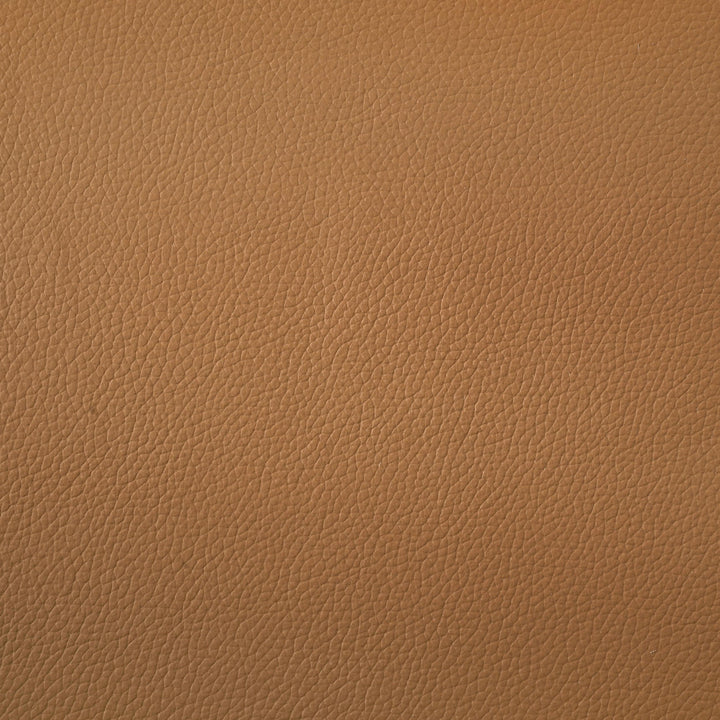 Buxton Top Grain Leather Upholstered Sofa Orange