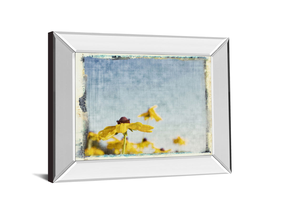 Blackeyed Susan&