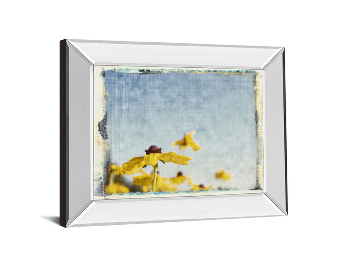 Blackeyed Susan&