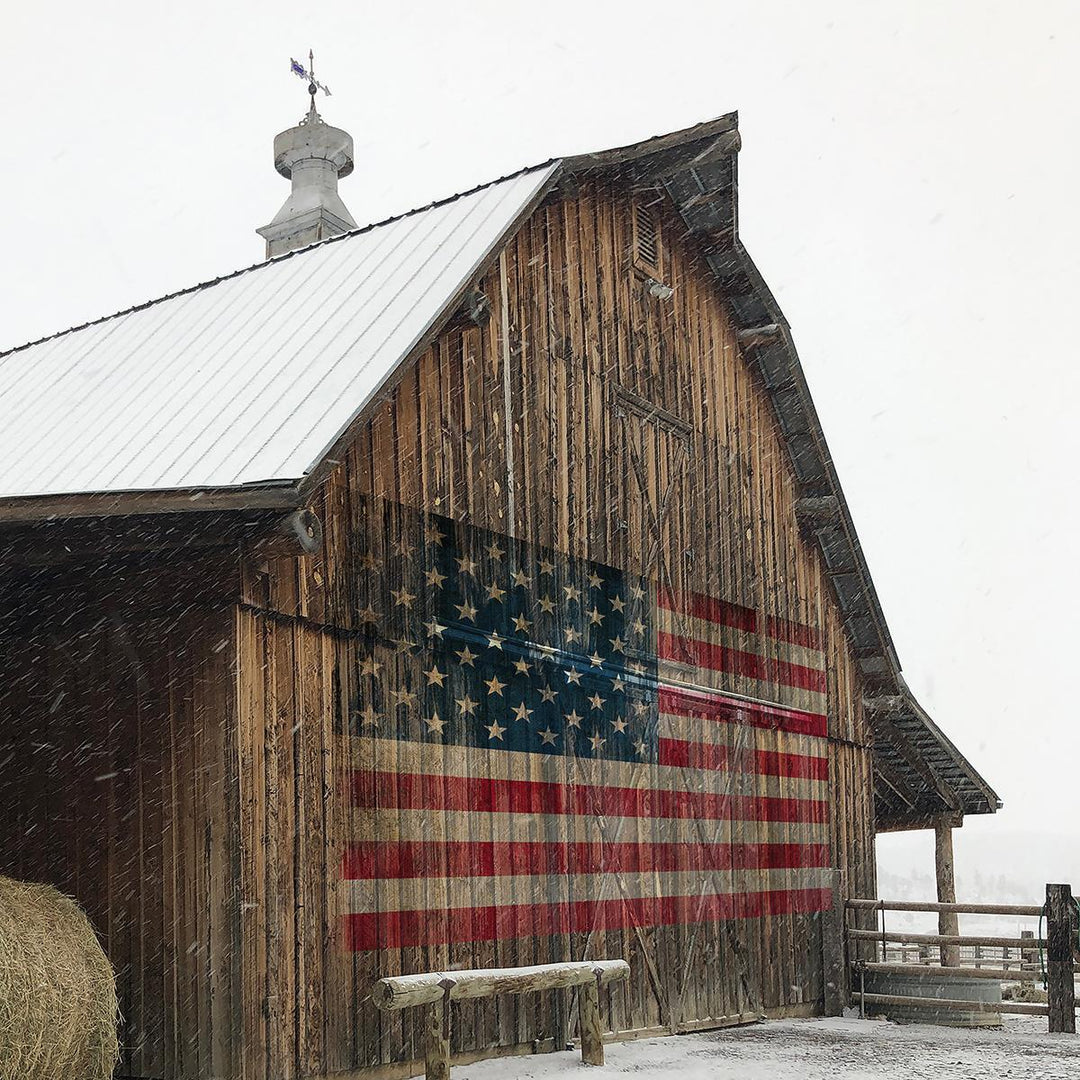 America Proud By Carol Robinson (Framed) - Light Brown