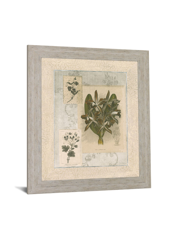 Vintage Botanical - 28" x 34" Framed Wall Art