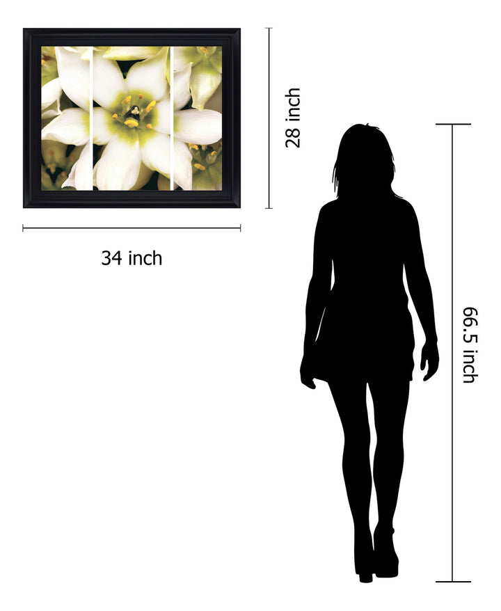 Ivory Petal Radiance - 28" x 34" Framed Wall Art
