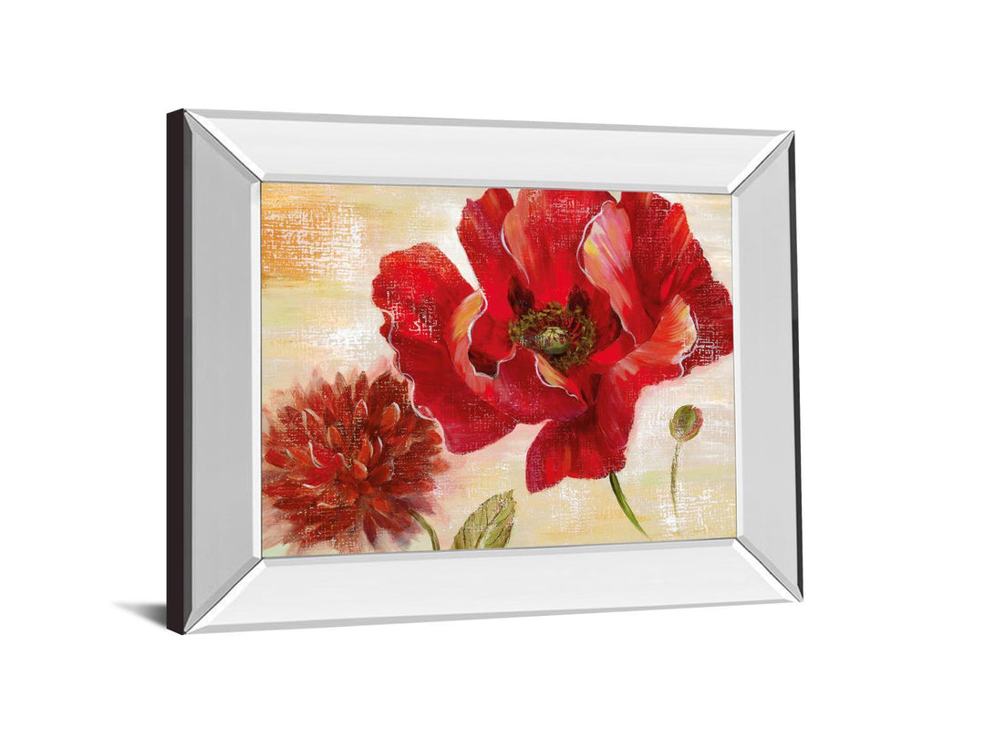 Passion For Poppies Il By Nan - Mirror Framed Print Wall Art - Red