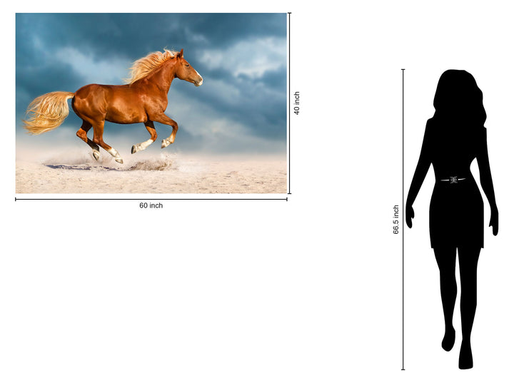 Tempered Glass With Foil - Golden Gallop - Blue