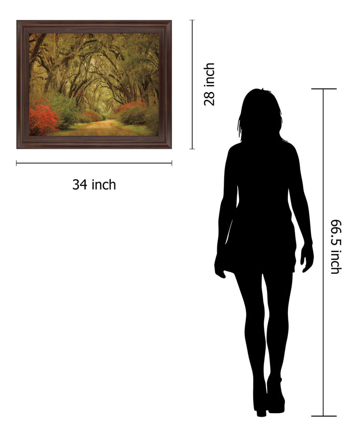Mossy Woodland Trail - 28" x 34" Framed Wall Art